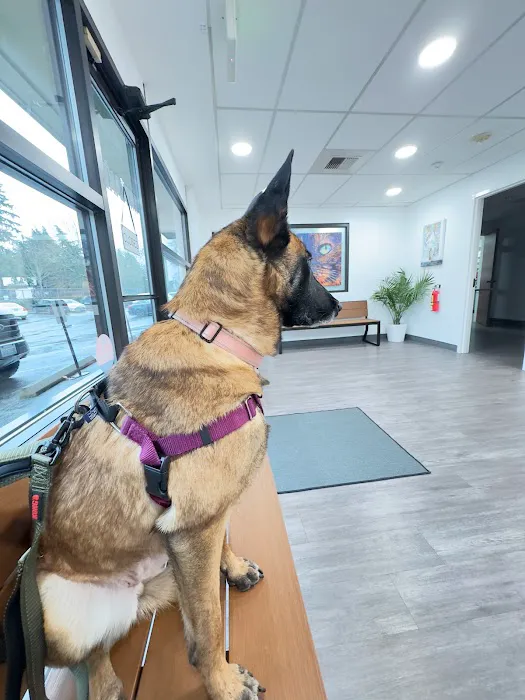 Midlakes Veterinary Hospital Picture 10