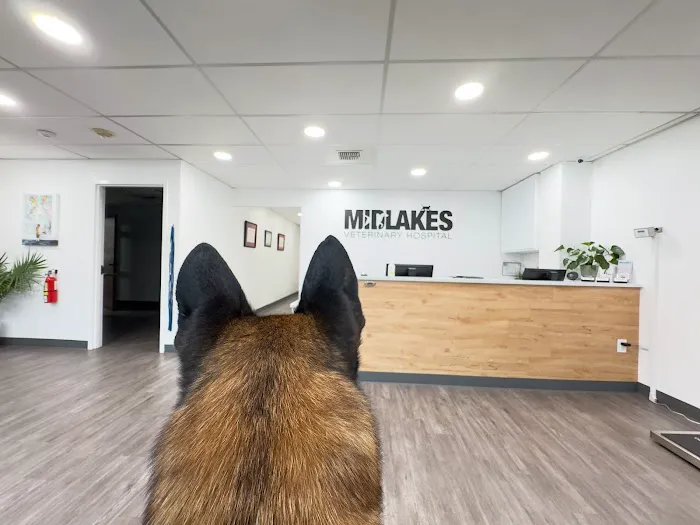 Midlakes Veterinary Hospital Picture 9
