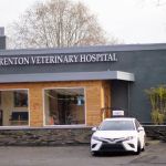 Renton Veterinary Hospital