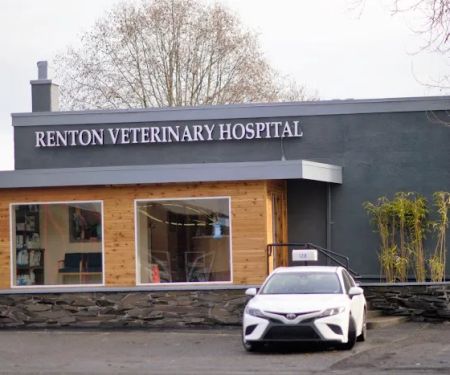 Renton Veterinary Hospital