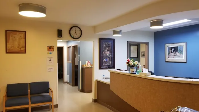 Renton Veterinary Hospital Picture 8