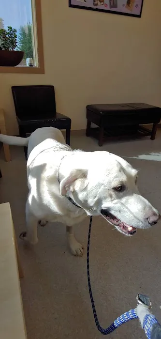 Veterinary Oncology Center Picture 4