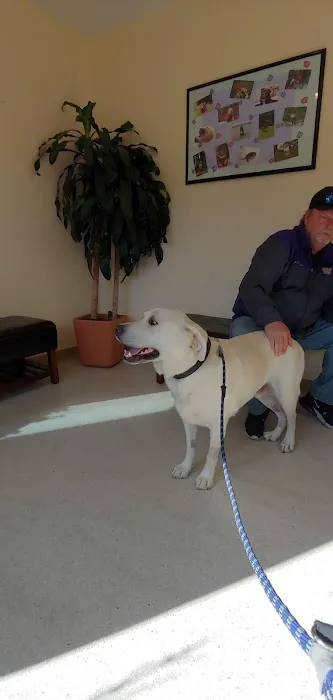 Veterinary Oncology Center Picture 8