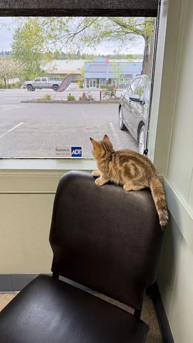 Renton West Veterinary Hospital Picture 1