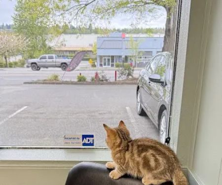 Renton West Veterinary Hospital