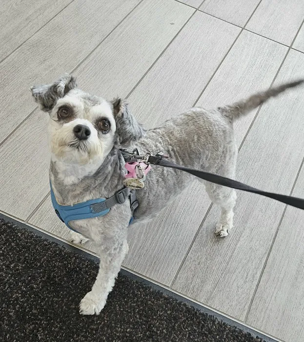 BluePearl Pet Hospital Picture 9