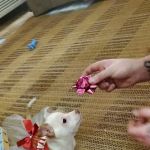 TUKWILA PET HOSPITAL