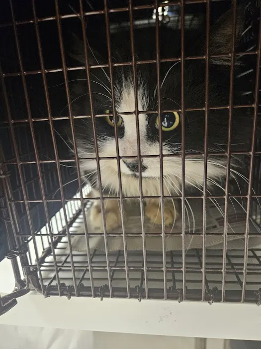 South County Spay Neuter Clinic Picture 1