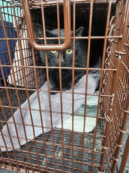 South County Spay Neuter Clinic Picture 6