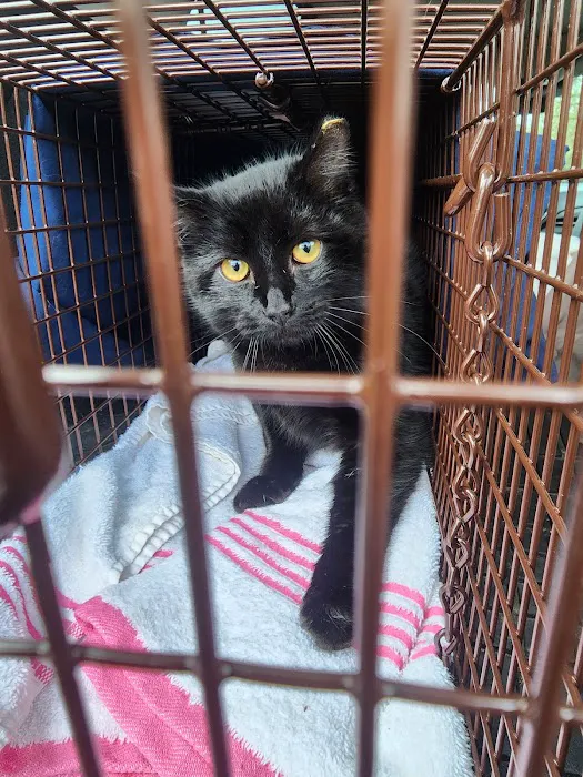 South County Spay Neuter Clinic Picture 5