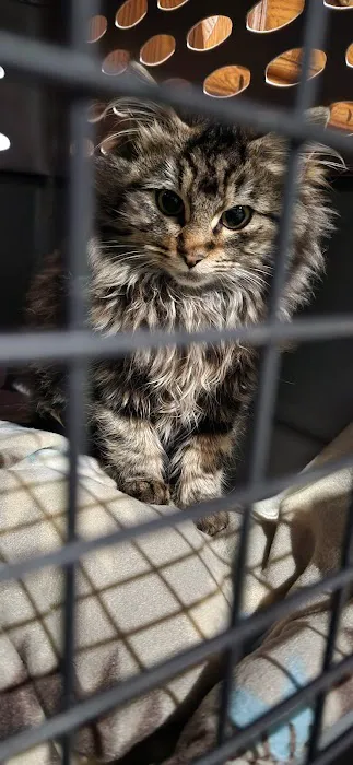 South County Spay Neuter Clinic Picture 4