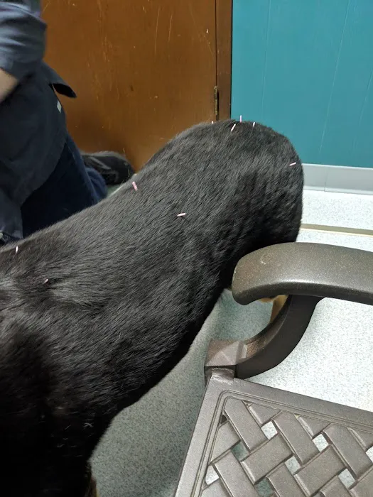 Pacific Heights Veterinary Hospital Picture 8