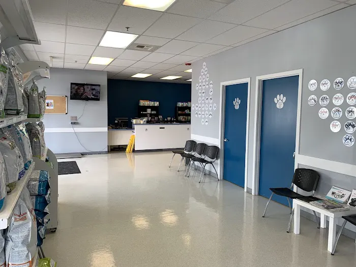 Renton Highlands Pet Clinic Picture 2