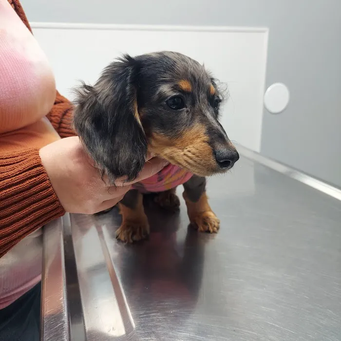 Renton Highlands Pet Clinic Picture 4