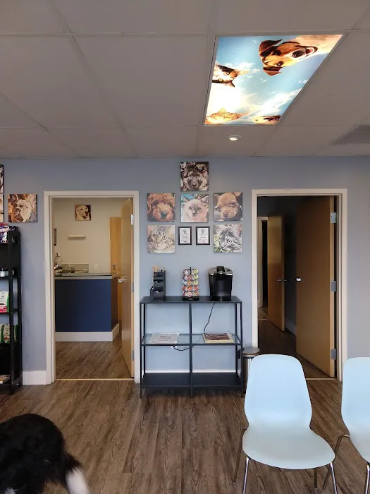 Cedar River Animal Hospital Picture 9