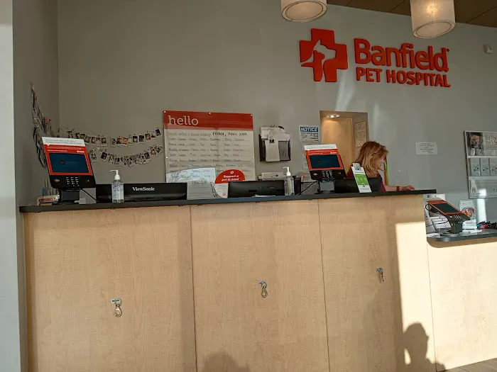 Banfield Pet Hospital Picture 1