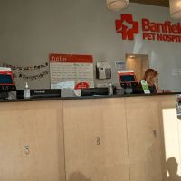 Banfield Pet Hospital ico
