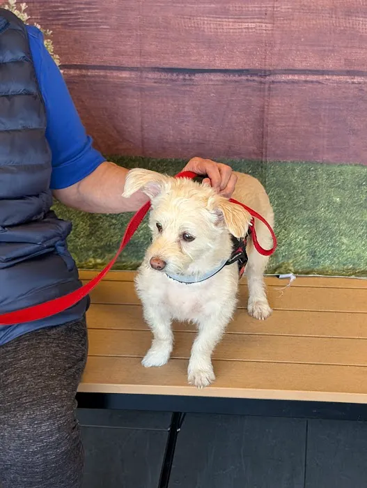 Banfield Pet Hospital Picture 2