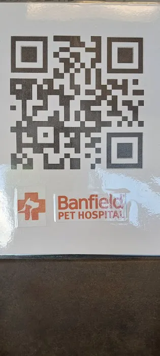 Banfield Pet Hospital Picture 10