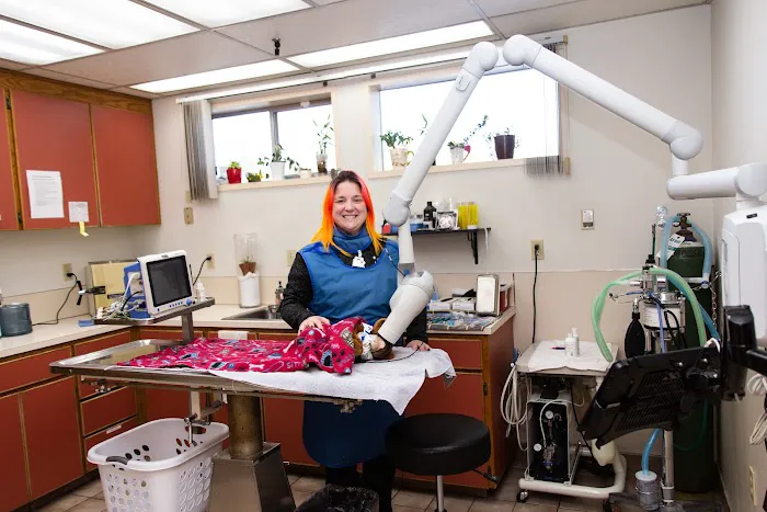 Highline Veterinary Hospital Picture 2