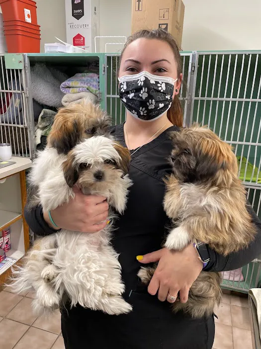 Highline Veterinary Hospital Picture 4
