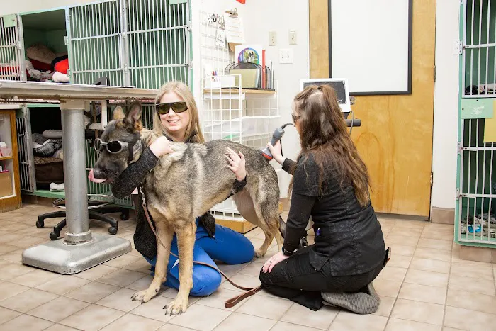 Highline Veterinary Hospital Picture 7