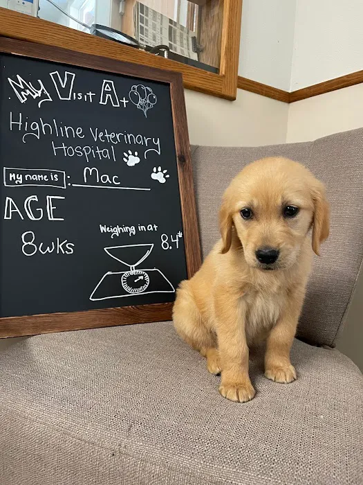 Highline Veterinary Hospital Picture 8