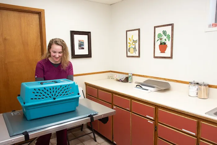 Highline Veterinary Hospital Picture 10