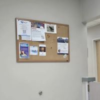 Burien Veterinary Hospital ico