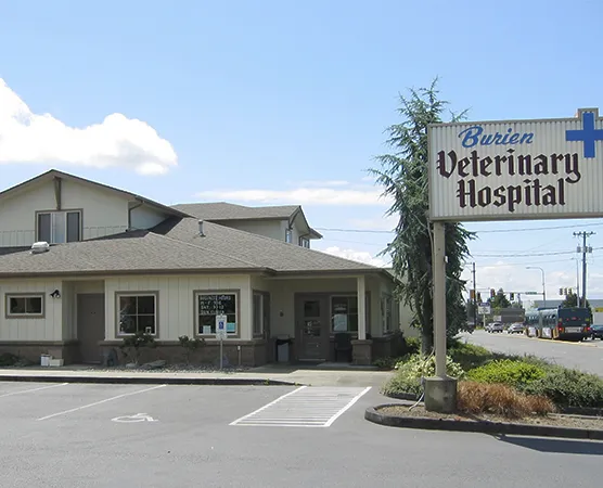 Burien Veterinary Hospital Picture 3