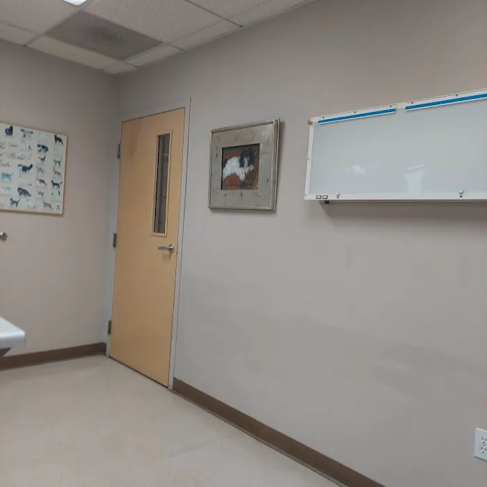 Burien Veterinary Hospital Picture 8
