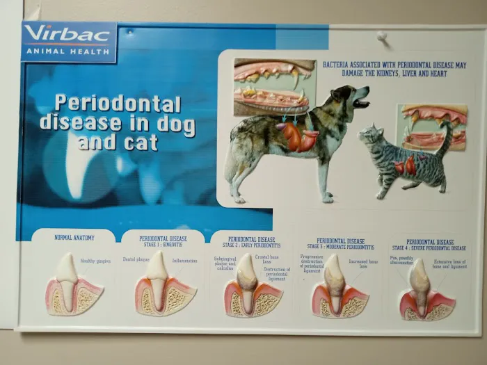 Burien Veterinary Hospital: Whitty Erin DVM Picture 1