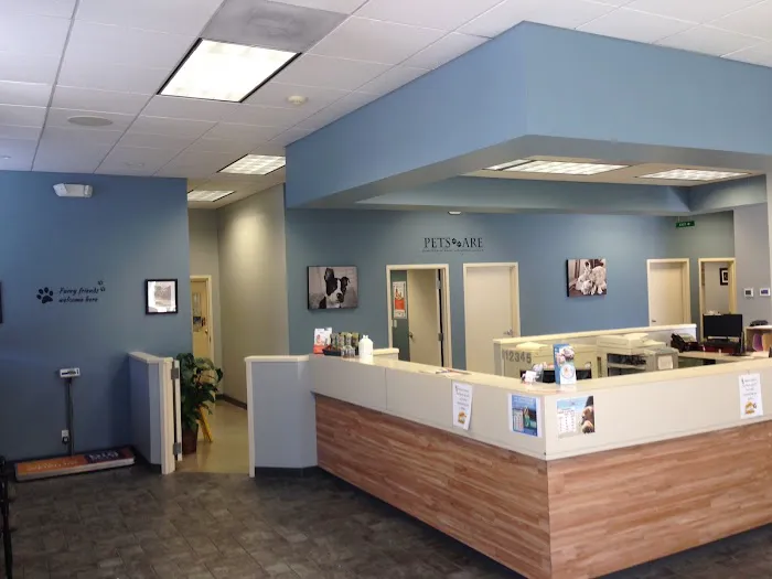 VCA Five Corners Animal Hospital Picture 2