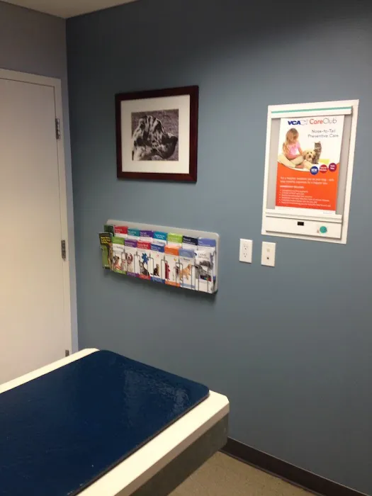 VCA Five Corners Animal Hospital Picture 1
