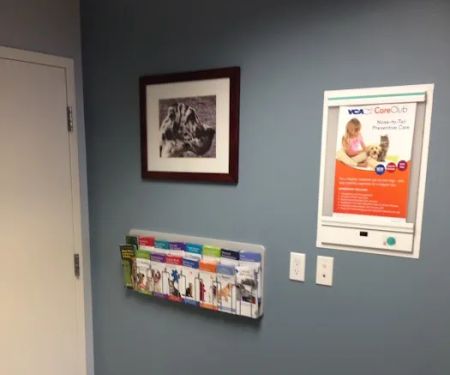 VCA Five Corners Animal Hospital