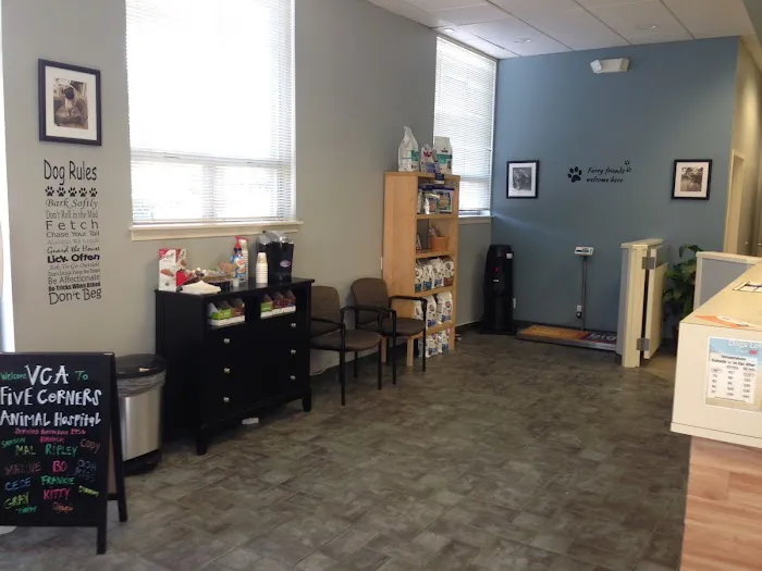 VCA Five Corners Animal Hospital Picture 5