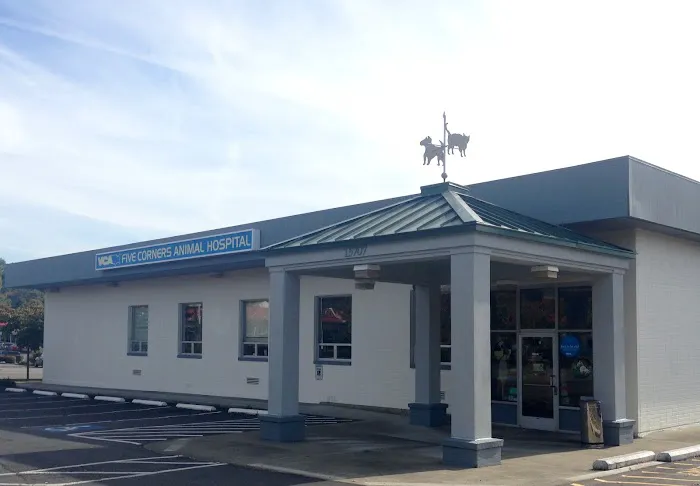 VCA Five Corners Animal Hospital Picture 6