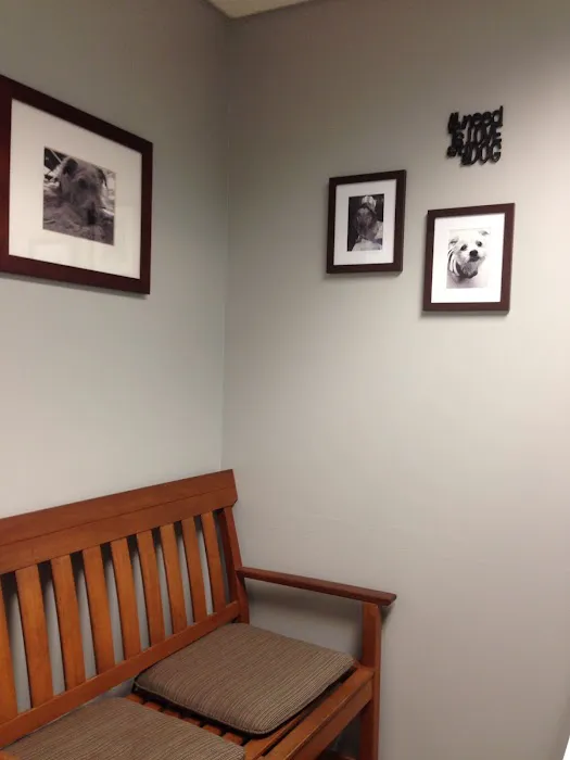 VCA Five Corners Animal Hospital Picture 9