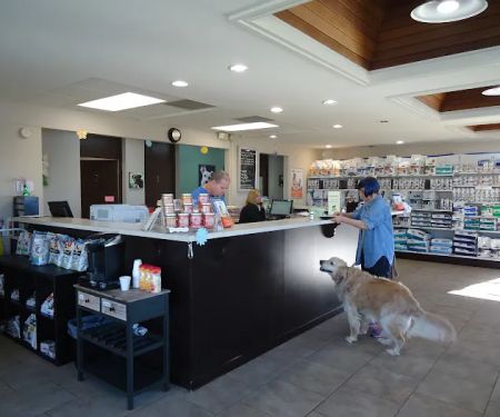 VCA Rossmoor-El Dorado Animal Hospital