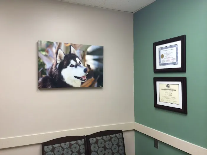 VCA Rossmoor-El Dorado Animal Hospital Picture 6