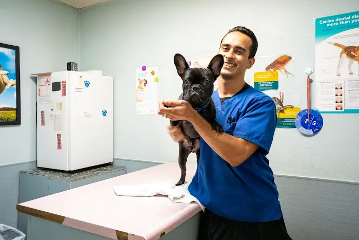 Gentle Care Pet Clinic Picture 8