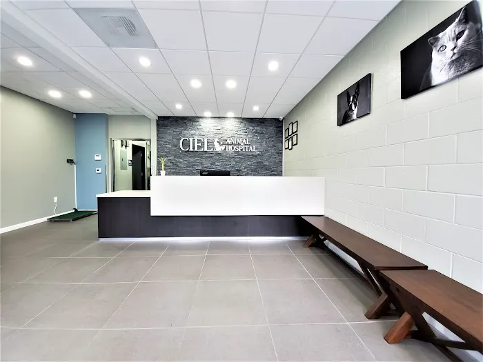 Ciel Animal Hospital Picture 1