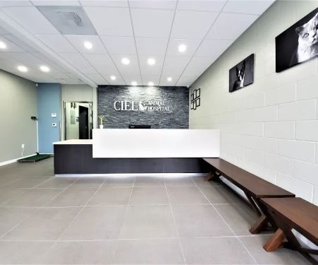 Ciel Animal Hospital