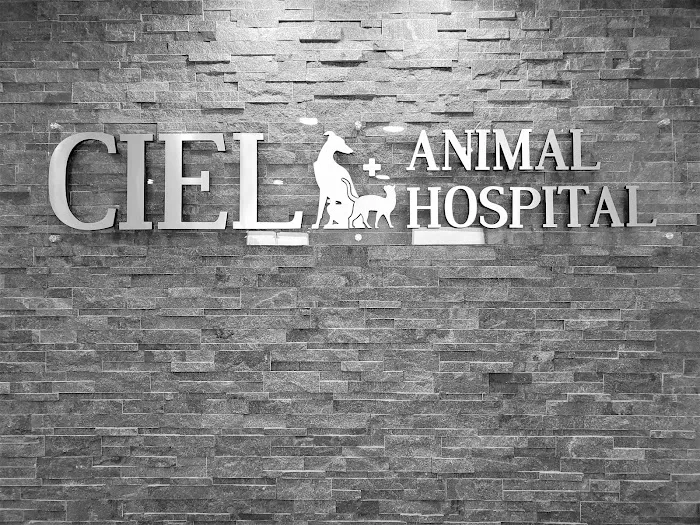 Ciel Animal Hospital Picture 3