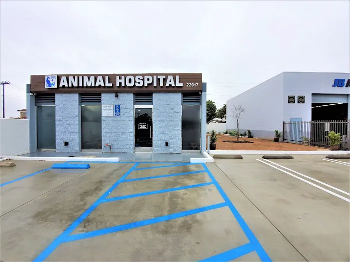 Ciel Animal Hospital Picture 4
