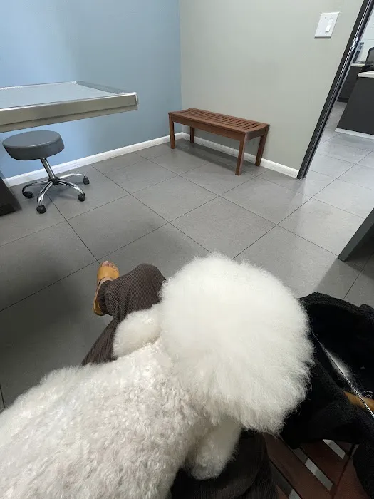 Ciel Animal Hospital Picture 9