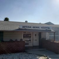Artesia Animal Hospital ico