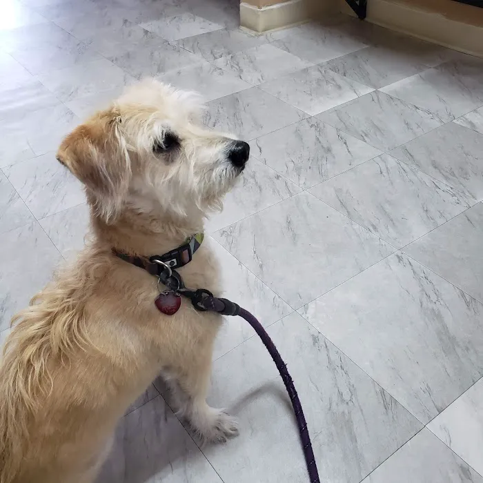 Artesia Animal Hospital Picture 2