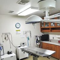 Bloomfield Animal Hospital ico