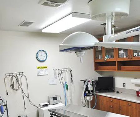 Bloomfield Animal Hospital